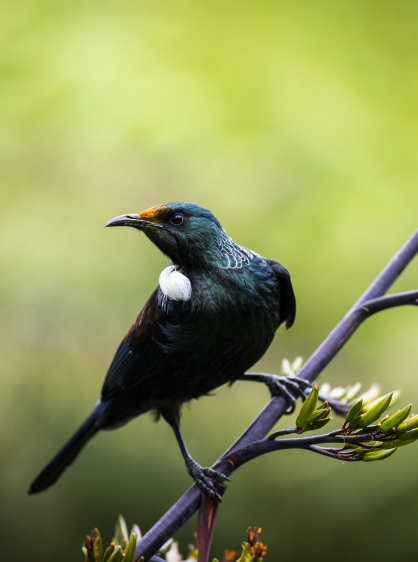 Photography Experiences